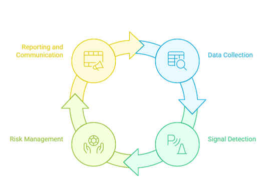 Pharmacovigilance Systems